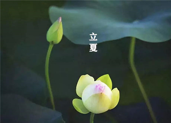 立夏已至，萬(wàn)物向陽(yáng)；